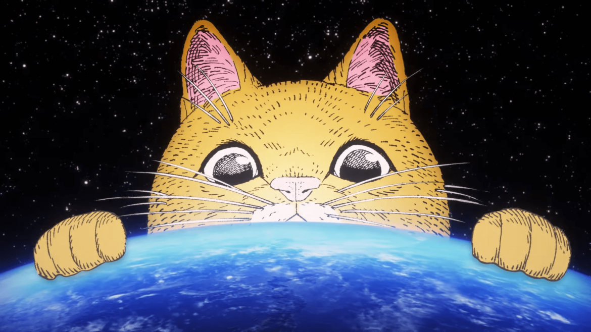 Night of the Living Cat Night of the Living Cat